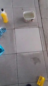 1000021810_43c751f216e46504825ae2d4657ba367-10_04_2024, 22_05_25 (1)