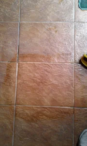 1000022288_26bf036c0c155e5c7c9e1057af91d9f0-10_04_2024, 22_22_41