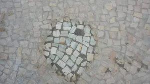 1000022370_47310cdf6c39a8080ec7f5b0ff3da5dc-10_04_2024, 22_54_17