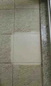 20861539_1628481327193294_6397985723135732535_o