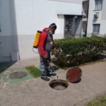 WhatsApp Image 2025-11-16 at 09.15.12